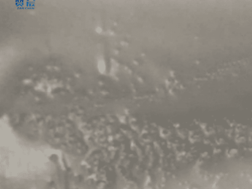 tpu膜 TPU防水透濕膜 本色中高透 tpu膜卷材 型號(hào)：ZC-ZGD-0.025