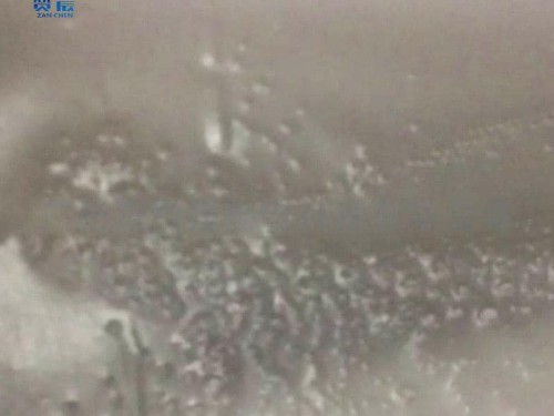 TPU防水透濕膜 中高透