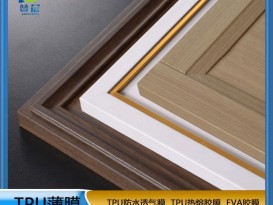 熱熔膠膜   免噴膠吸塑膜   廠家直銷  ZC